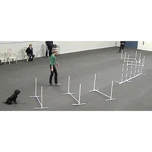 Weave Pole Grids for Improving Footwork