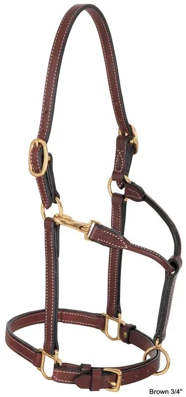 Weaver 1in Leather Track Halter - Image 2