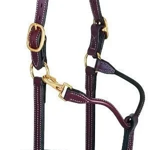 Weaver 1in Leather Track Halter