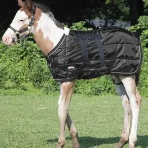 Weaver 420D Foal Stable Blanket 39 Black
