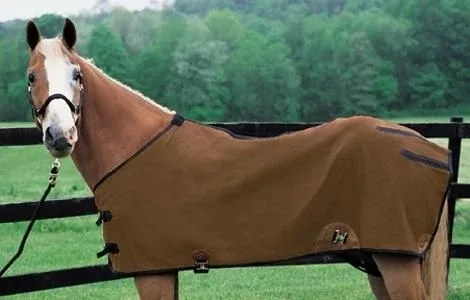 Weaver Basic Canvas Horse Blanket Brown - Image 2