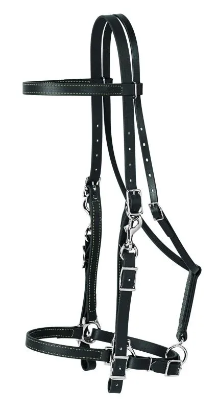 Weaver Brahma Synthetic Halter Bridle