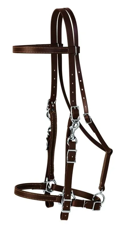 Weaver Brahma Synthetic Halter Bridle - Image 2