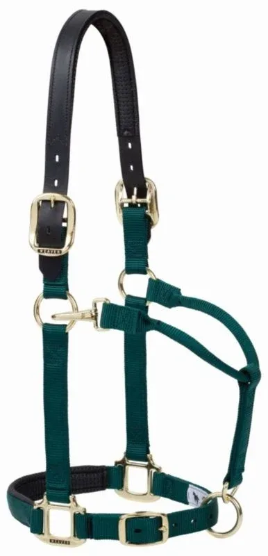 Weaver Breakway Snap Halter - Image 2