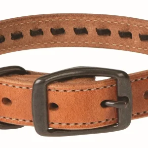 Weaver Buckstitch Dog Collar