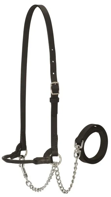 Weaver Dairy Halter - Image 2