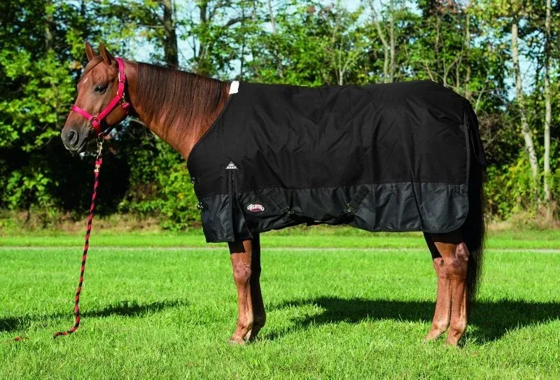 Weaver Economy 1200 D Horse Blanket - Image 2
