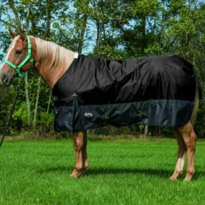 Weaver Economy 600 D Turnout - 180 gm 69 Black