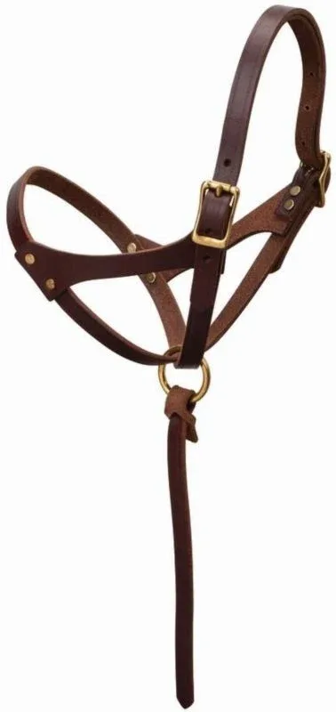 Weaver Figure 8 Foal Halter - Image 2