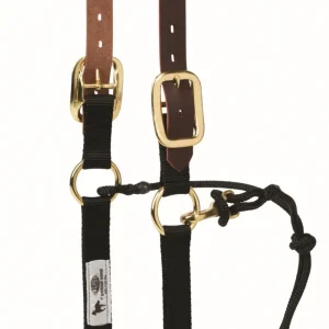 Weaver Kalley Krickeberg Breakaway Horsemans Halter