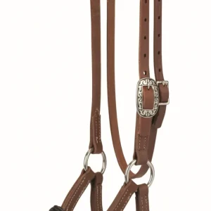 Weaver Kalley Krickeberg Horsemans Transition Bridle