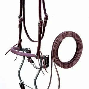 Weaver Latigo Leather Hackamore Set