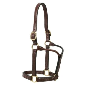 Weaver Leather 1in Thoroughbred Halter with o Snap