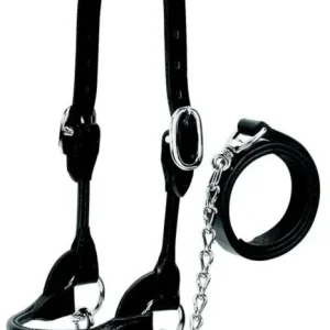 Weaver Leather Cattle Rounded Show Halter XL Blk