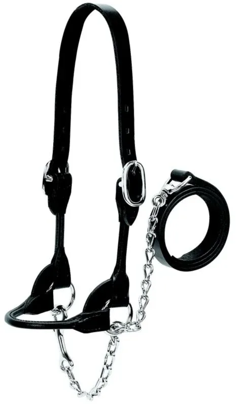 Weaver Leather Cattle Rounded Show Halter XL Blk