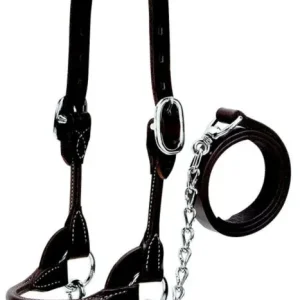 Weaver Leather Cattle Rounded Show Halter XL Brown