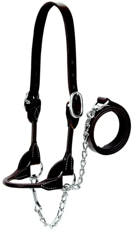 Weaver Leather Cattle Rounded Show Halter XL Brown
