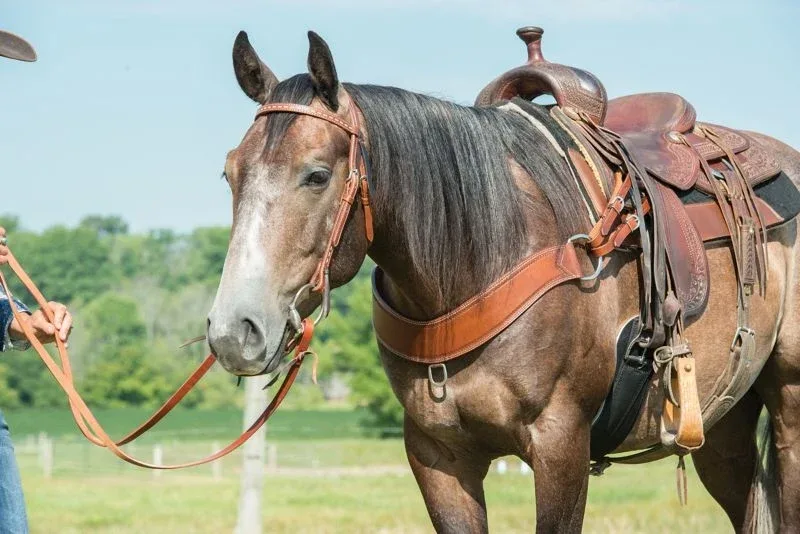 Weaver Leather Heavy Steer Roper Breast Collar - Image 2