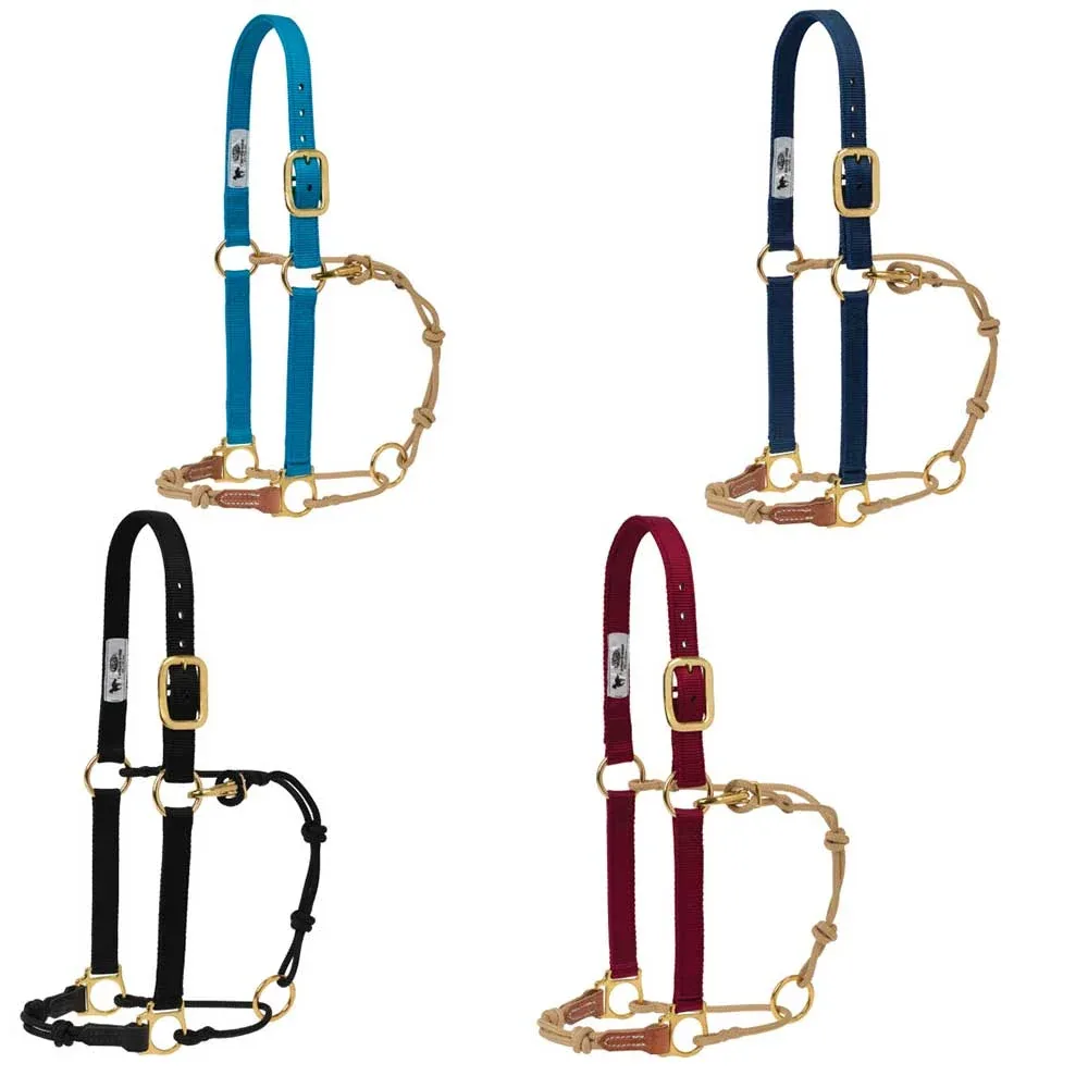 Weaver Leather Kalley Krickeberg Horseman's Halter by Weaver Leather