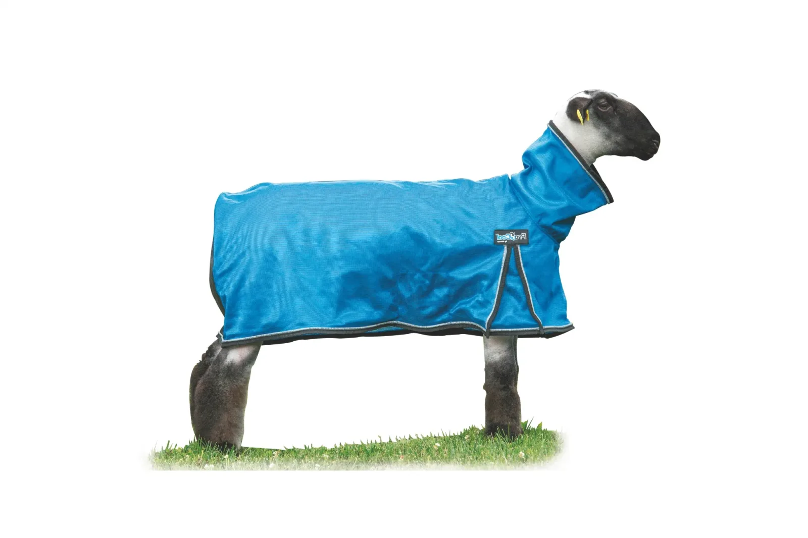 Weaver ProCool Sheep Blanket with Reflective Piping - Image 2