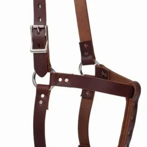 Weaver Riveted Halter with CatchStrap