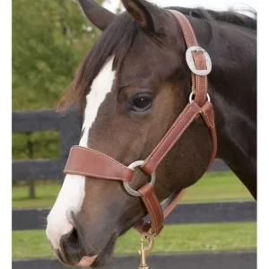 Weaver Stacy Westfall Bronc Halter
