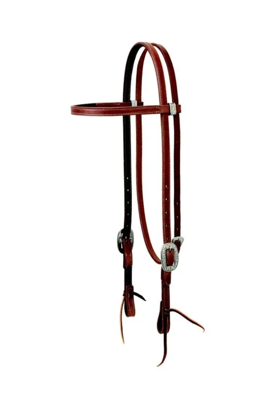 Weaver Synergy Lined Headstall with Floral