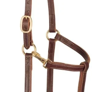 Weaver Track Halter Horse