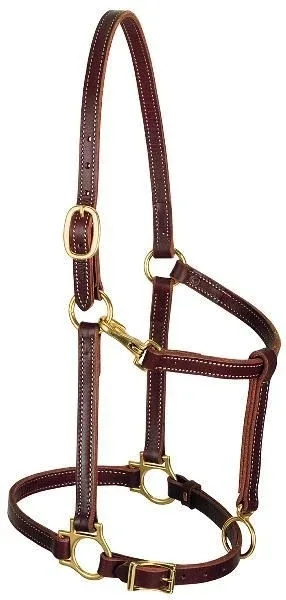 Weaver Track Halter Horse - Image 2