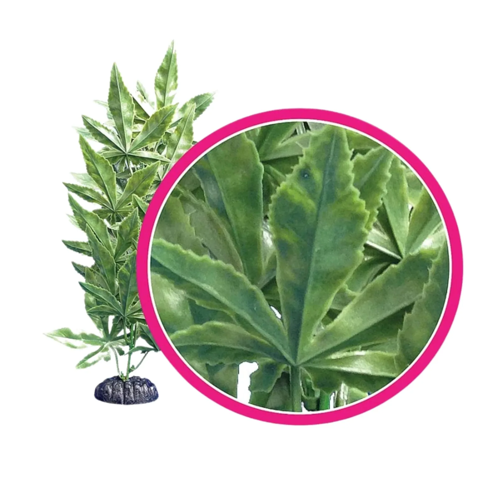 Weco Products Dream Series Hash Aquarium Plant, Green, 12 in