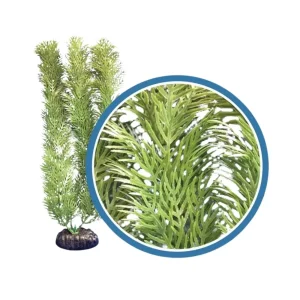 Weco Products Freshwater Pro Series Cabomba Aquarium Plant, Green, 18 in