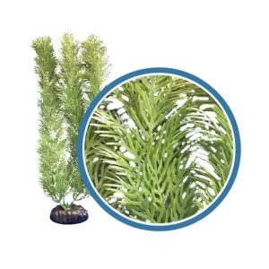 Weco Products Freshwater Pro Series Cabomba Aquarium Plant, Green, 6 in