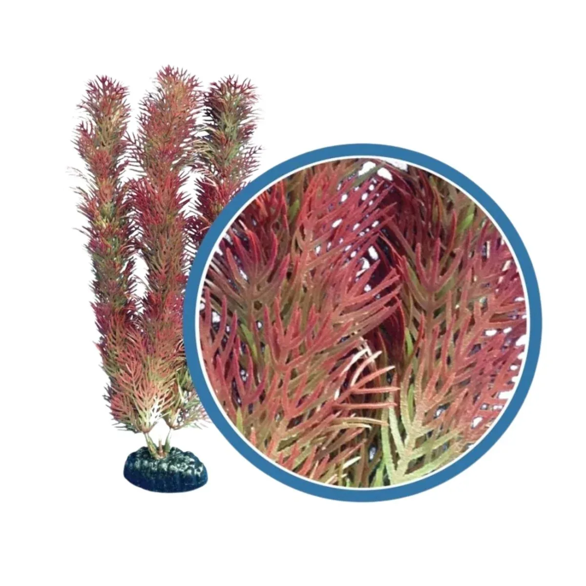 Weco Products Freshwater Pro Series Cabomba Aquarium Plant, Red, 30 in