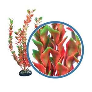 Weco Products Freshwater Pro Series Ludwigia Aquarium Plant, Red, 9 in