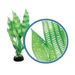 Weco Products Freshwater Pro Series Madagascar Lace Aquarium Plant, Green, 6 in