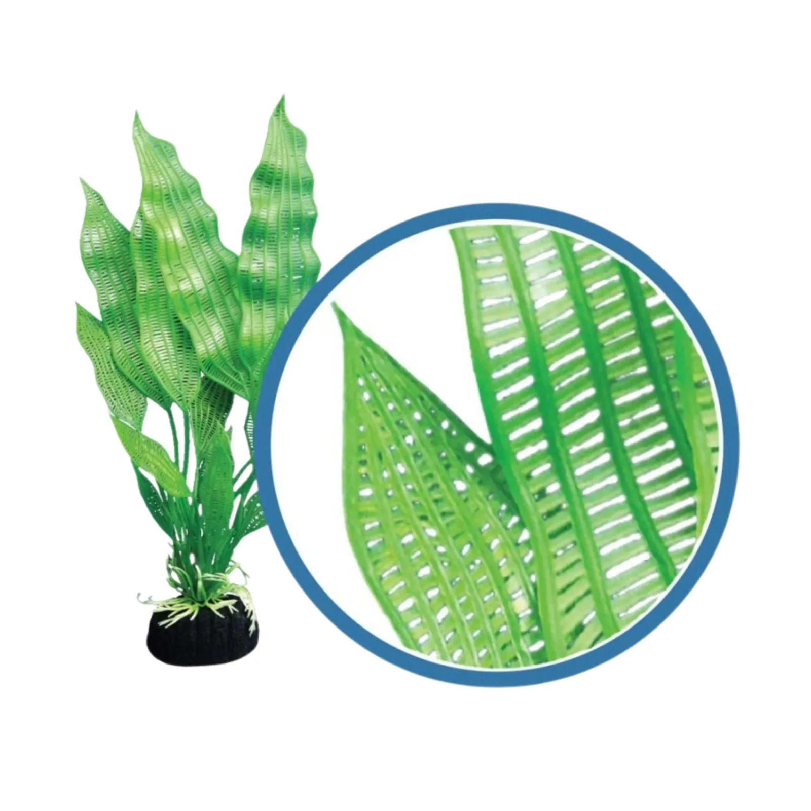 Weco Products Freshwater Pro Series Madagascar Lace Aquarium Plant, Green, 6 in