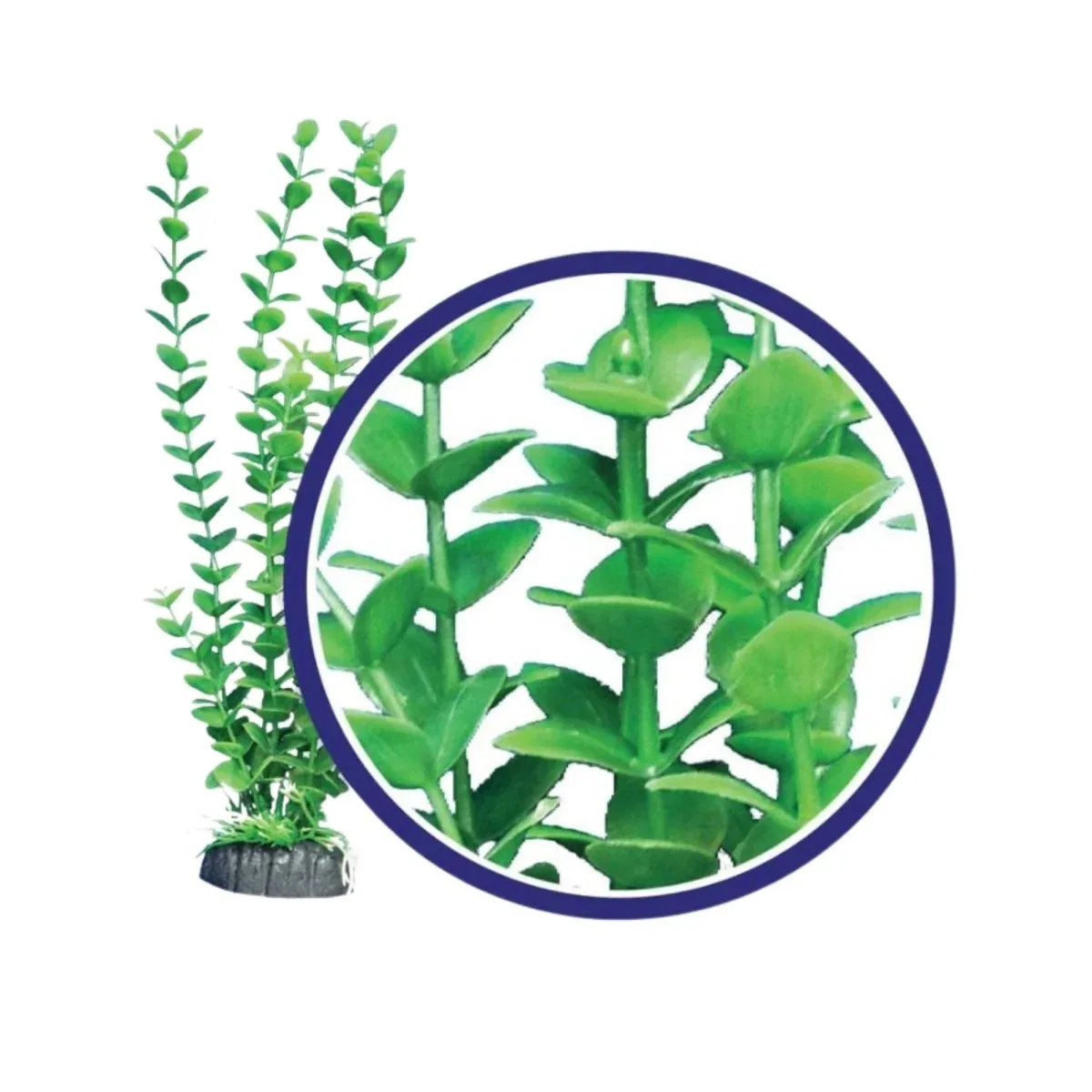 Weco Products Freshwater Series Bacopa Aquarium Plant, Green, 18 in