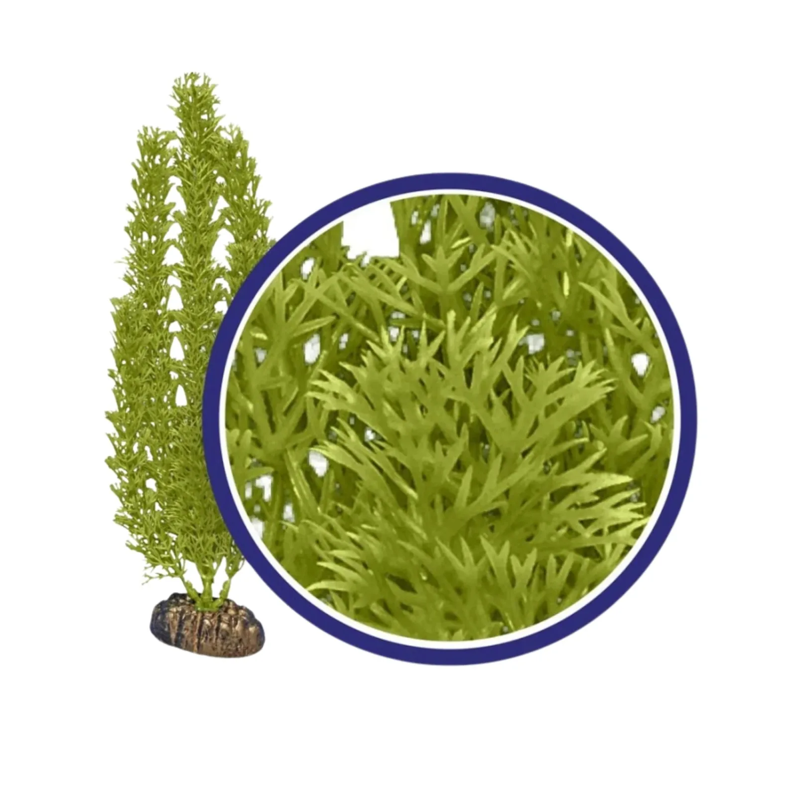 Weco Products Freshwater Series Foxtail Aquarium Plant, Green, 18 in