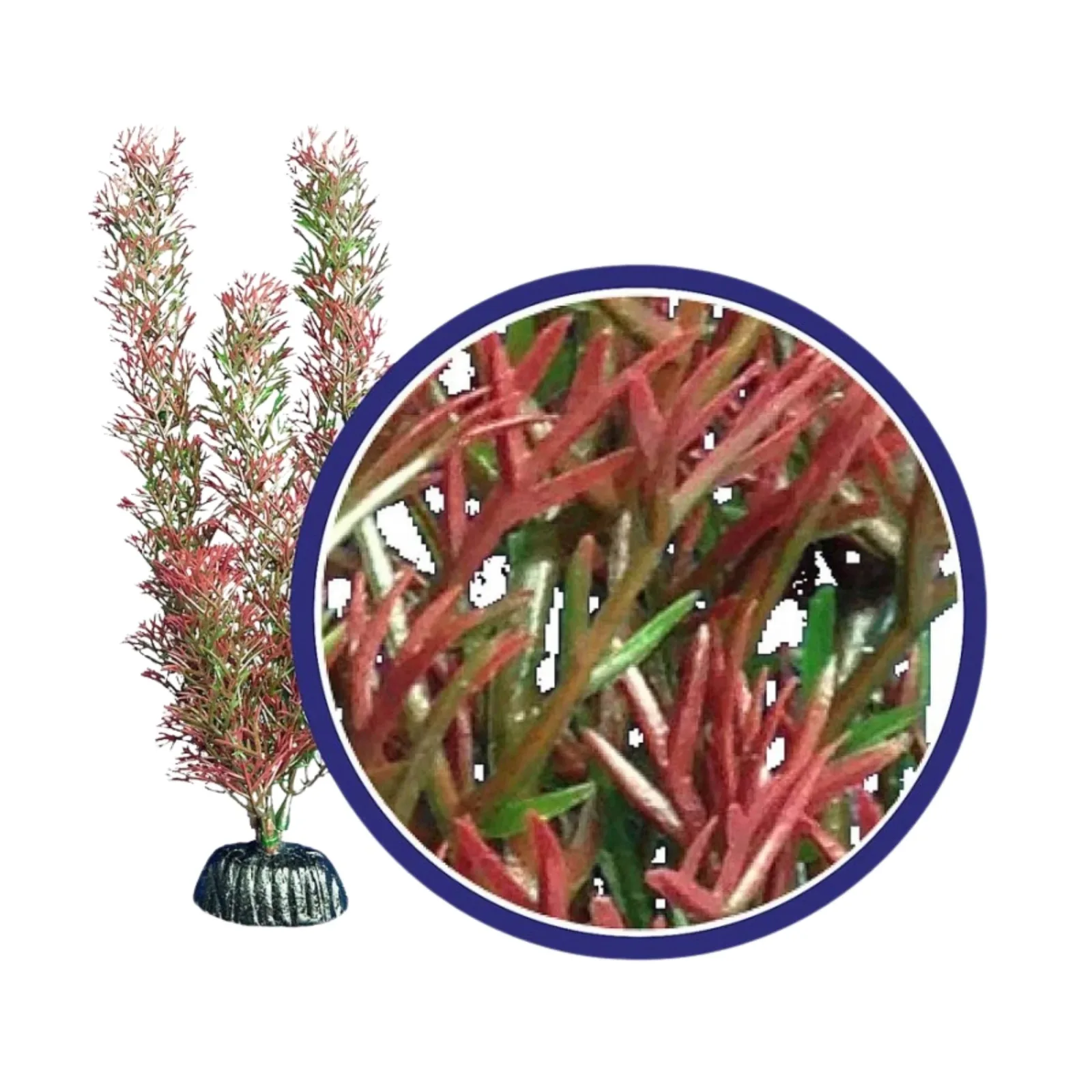 Weco Products Freshwater Series Foxtail Aquarium Plant, Red, 18 in