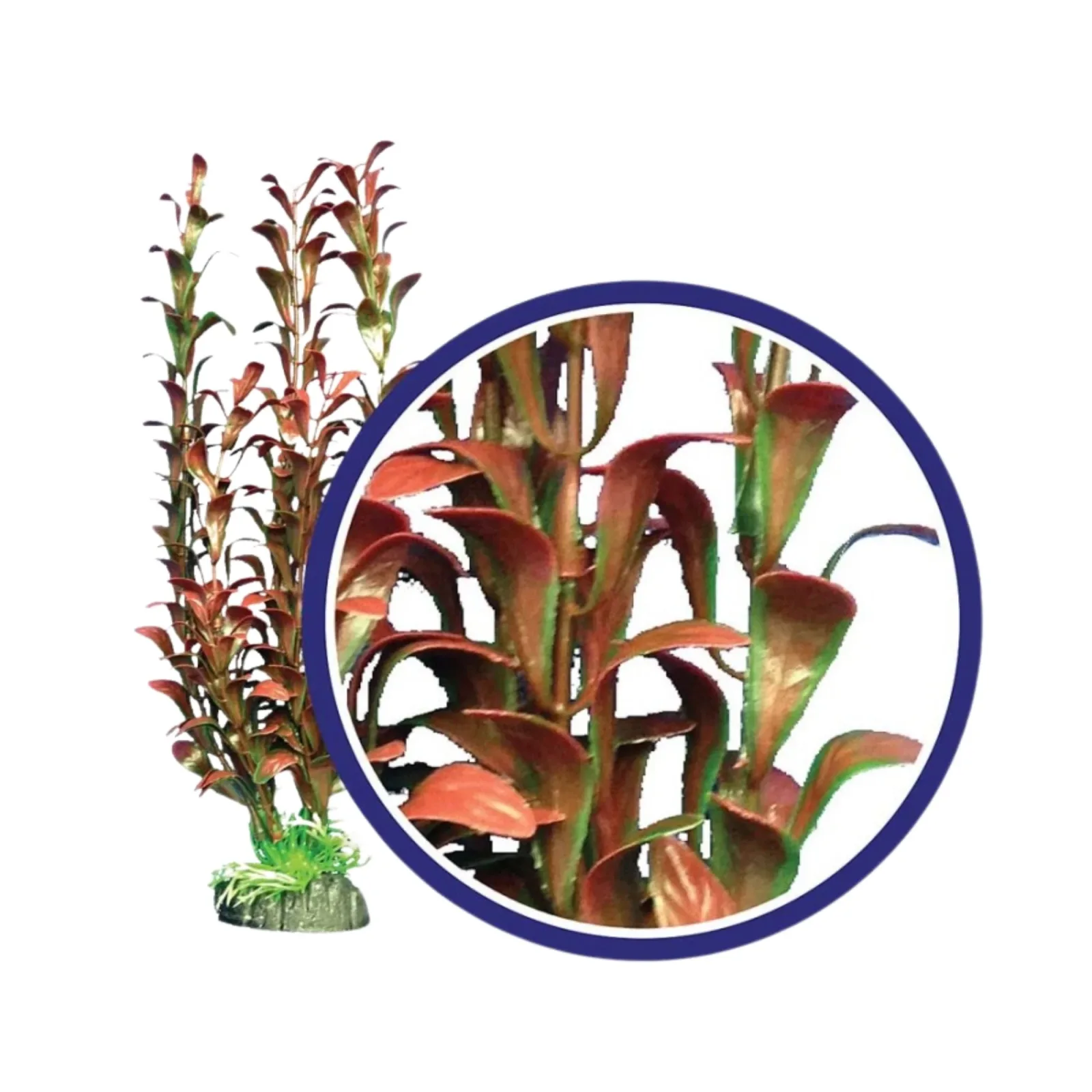 Weco Products Freshwater Series Hygrophilia Aquarium Plant Red, 9 in