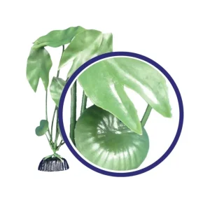 Weco Products Freshwater Series Tiger Lotus Aquarium Plant, Green, 18 in