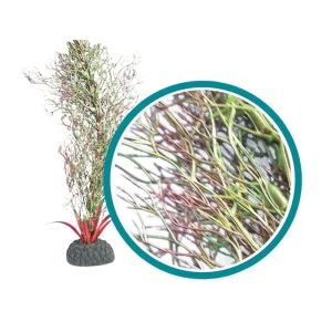 Weco Products Marine Pro Series Fine Branch Kelp Aquarium Plant, Green, 24 in
