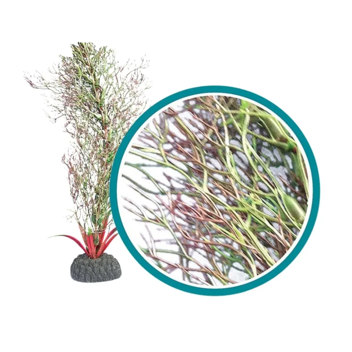 Weco Products Marine Pro Series Fine Branch Kelp Aquarium Plant Green, 30 in