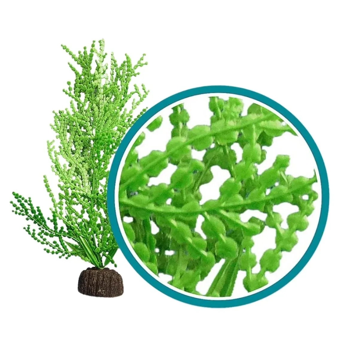 Weco Products Marine Pro Series Giant Halimeda Aquarium Plant Green, 9 in