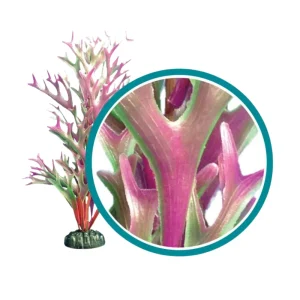 Weco Products Marine Pro Series Giant Kelp Aquarium Plant CRed, 6 in, Giant