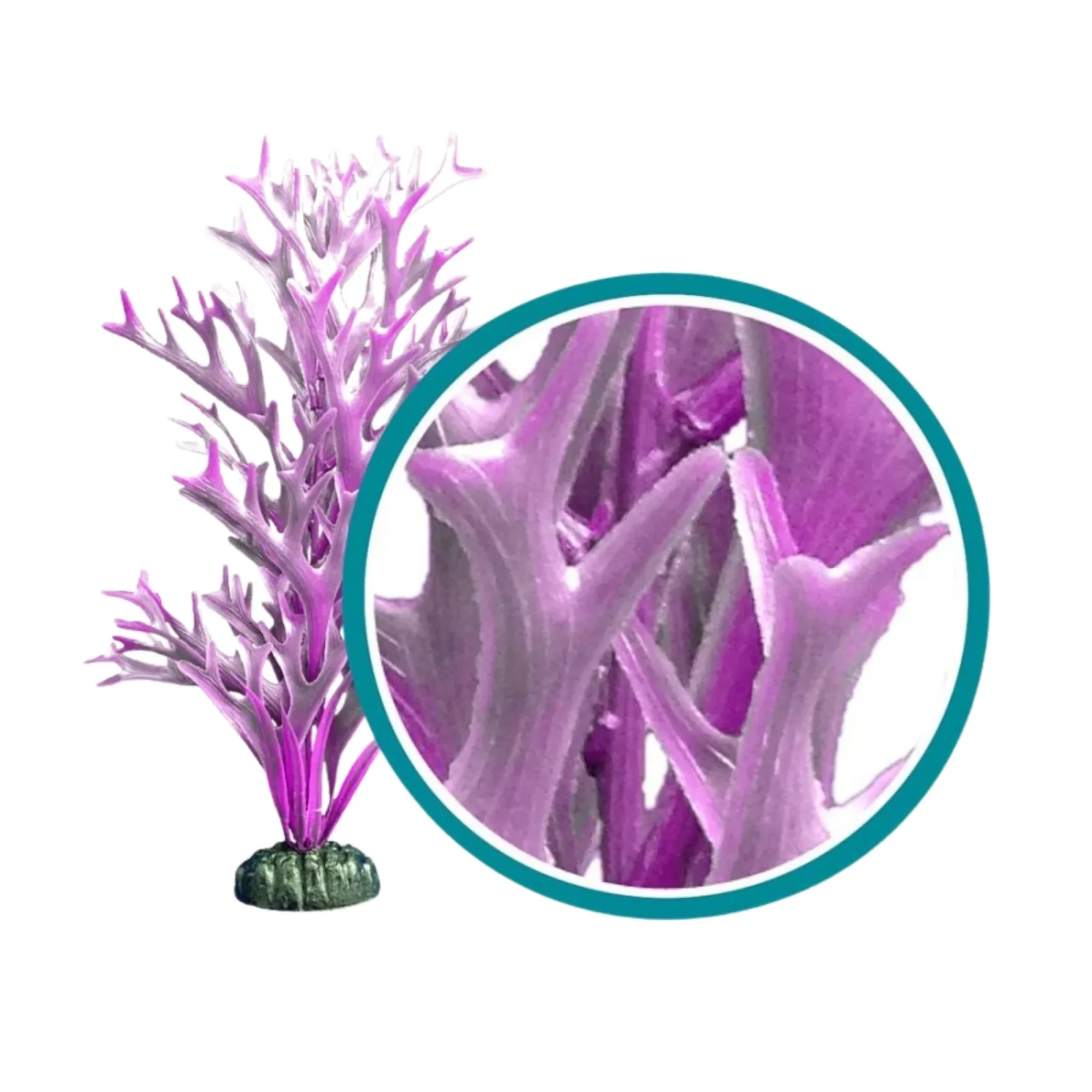 Weco Products Marine Pro Series Giant Kelp Aquarium Plant Purple, 12 in, Giant