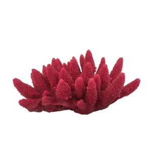 Weco Products South Pacific Coral Acorapora Humilis Ornament Rose, Medium