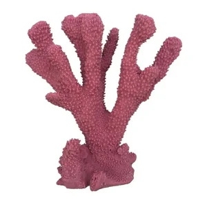 Weco Products South Pacific Coral Cats Paw Ornament Rose, Medium