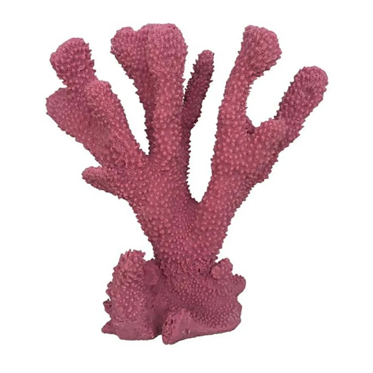Weco Products South Pacific Coral Cats Paw Ornament Rose, Medium