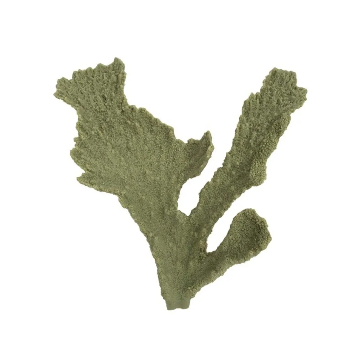 Weco Products South Pacific Coral Elkhorn Ornament Grey, Small